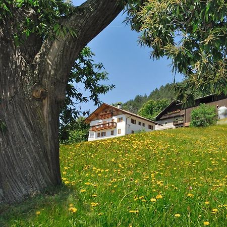 Wohrmannhof Appartement Feldthurns Buitenkant foto