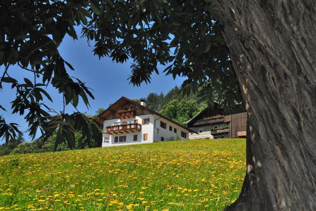 Wohrmannhof Appartement Feldthurns Buitenkant foto