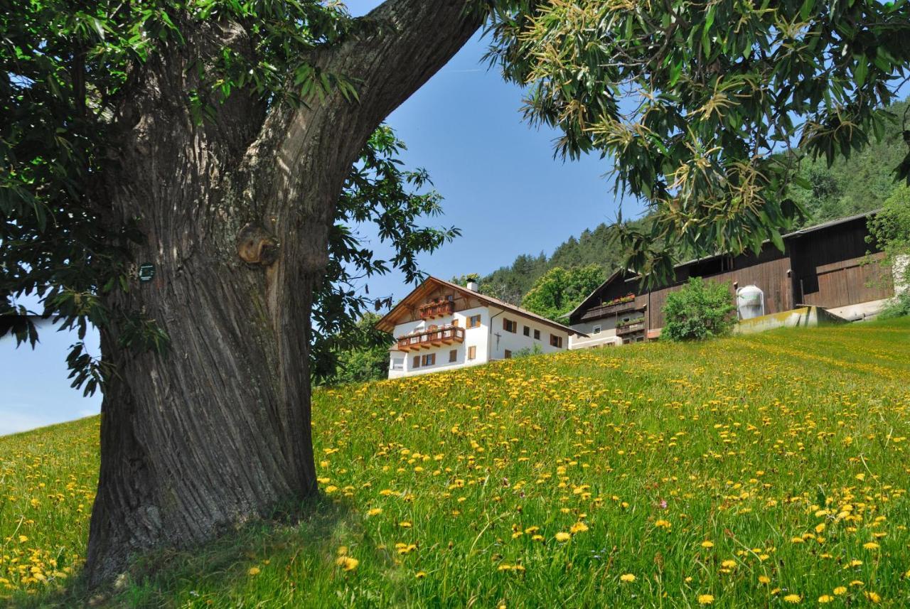 Wohrmannhof Appartement Feldthurns Buitenkant foto